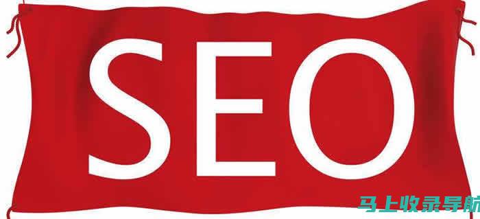 SEO1网站查询指南：从入门到精通的全方位解析